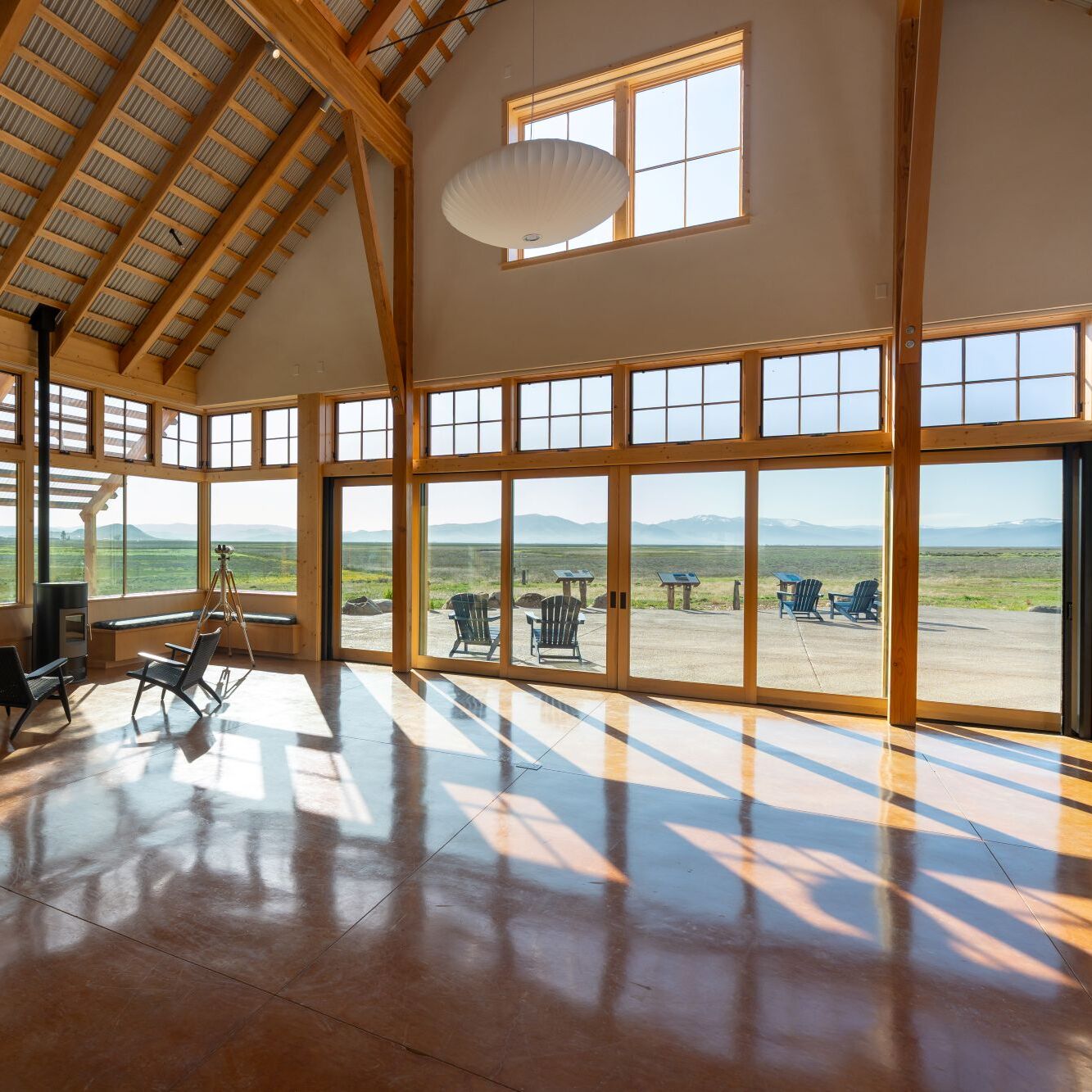 Bird Trivia Night - logo